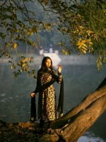 Winter Collection 0061 - Image 6