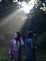 Winter Collection 0059 - Image 3