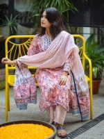 Winter Collection 0064 - Image 3