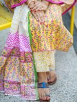 Winter Collection 0067 - Image 9