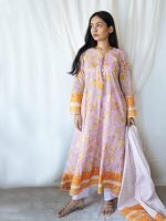 Winter Collection 0087 - Image 4