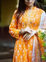 Winter Collection 00101 - Image 4