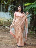 Luxury Edition moslin Saree Collection 0149 - Image 10